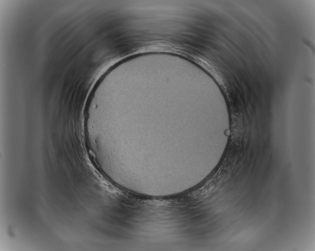 X0000097760996200804041121