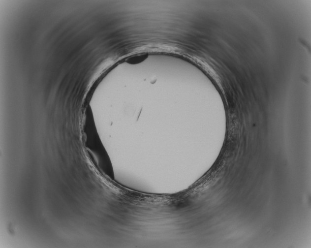 X0000097760997200804041121