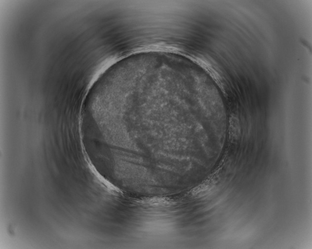 X0000097760998200804041121