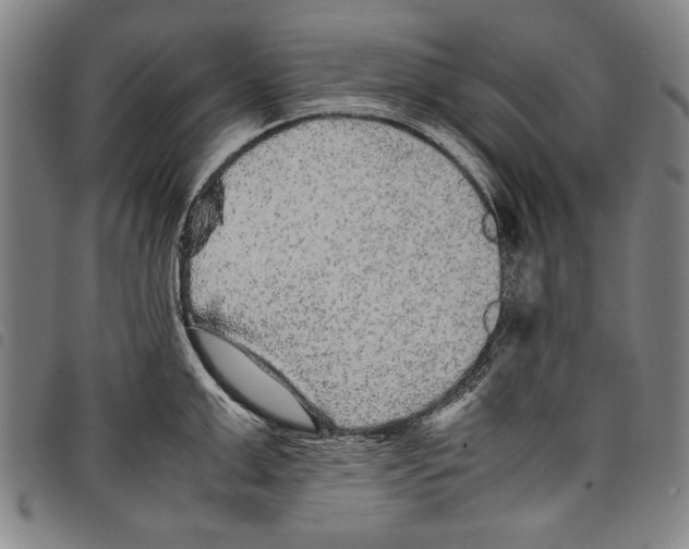 X0000097760999200804041121