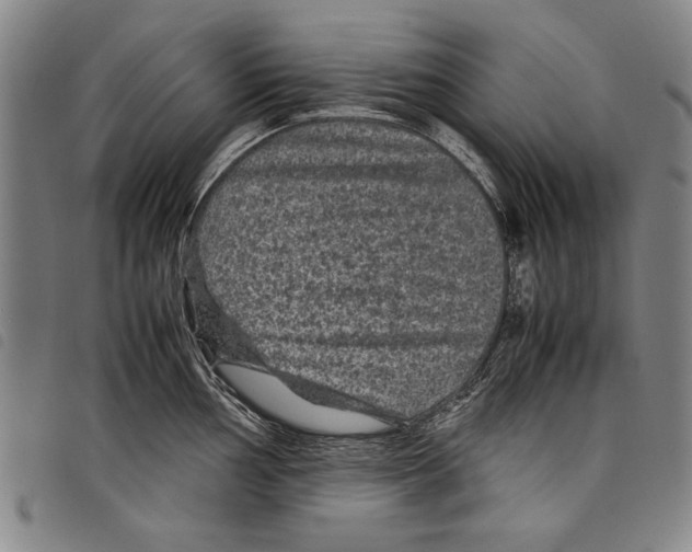 X0000097761002200804041121