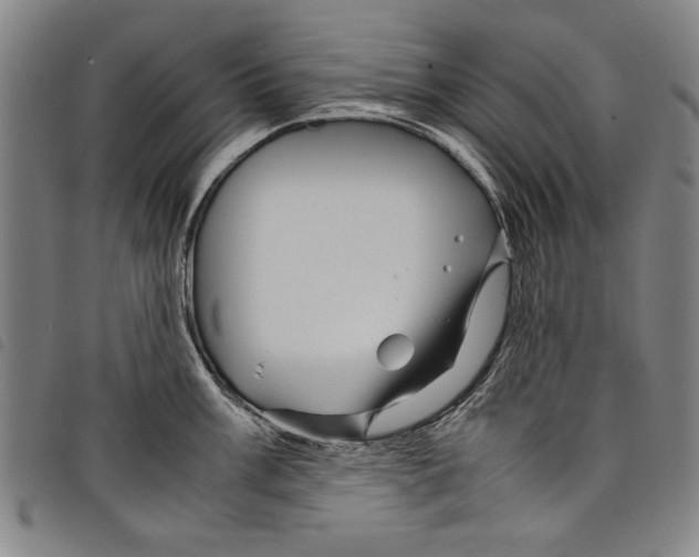 X0000097761003200804041121