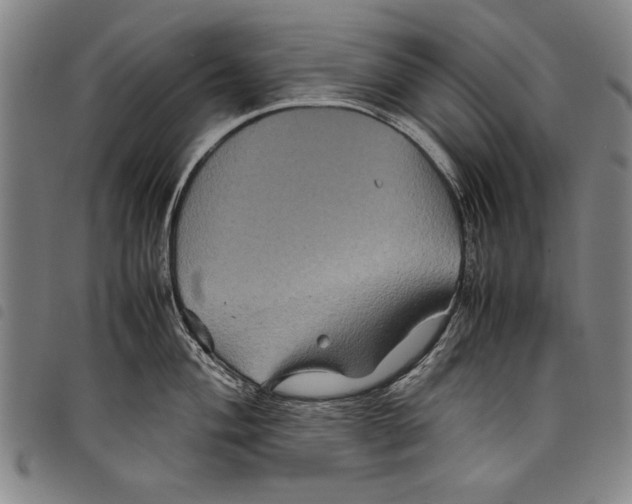 X0000097761004200804041121