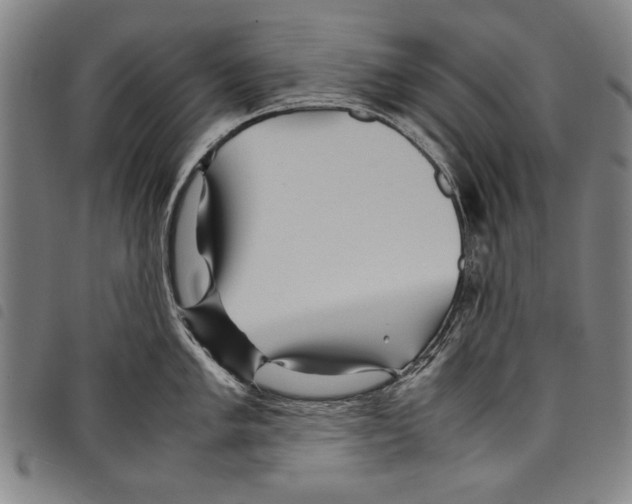 X0000097761005200804041121