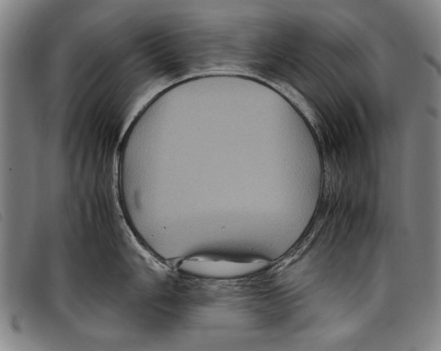 X0000097761006200804041121