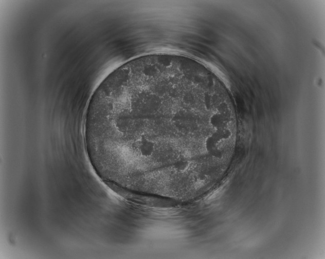 X0000097761007200804041121