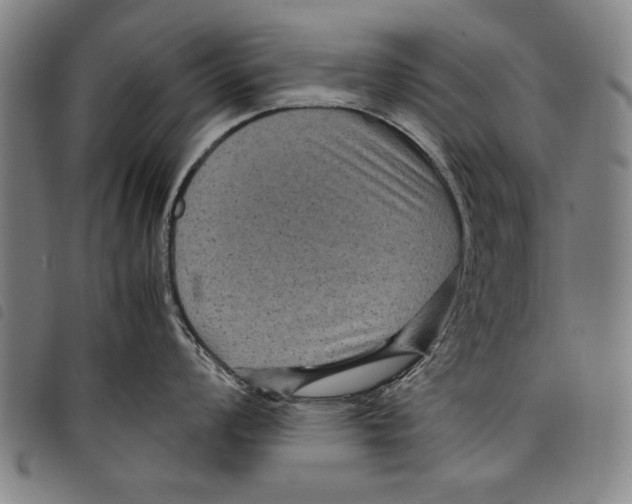 X0000097761008200804041121