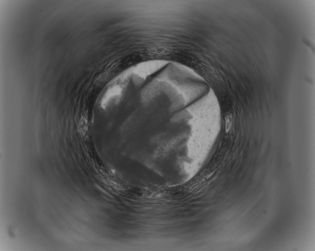 X0000097761011200804041121