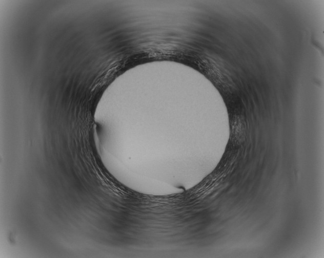 X0000097761012200804041121