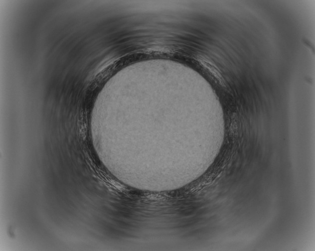 X0000097761015200804041121