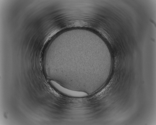 X0000097761018200804041121