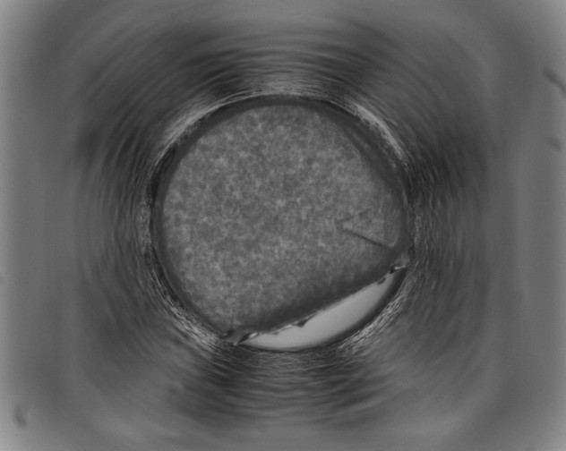 X0000097761019200804041121