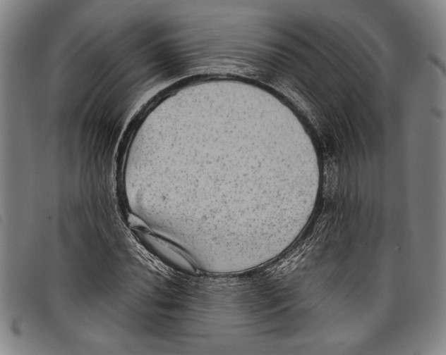 X0000097761020200804041121