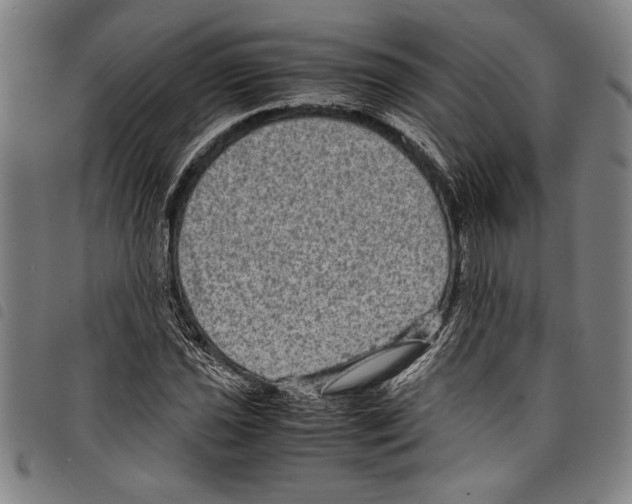 X0000097761021200804041121