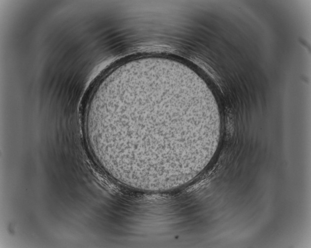 X0000097761022200804041121