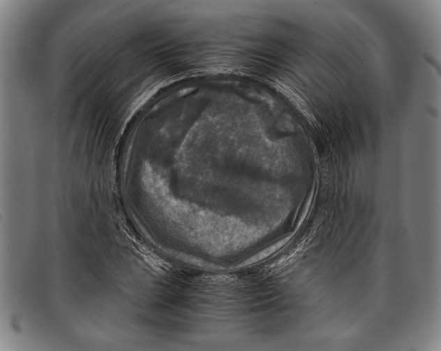 X0000097761023200804041121