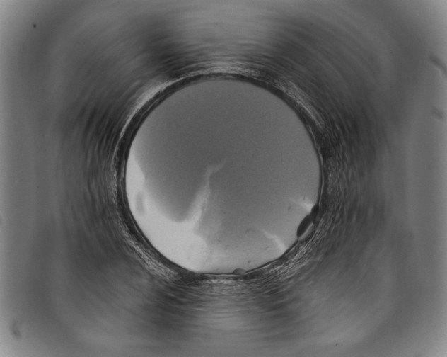 X0000097761024200804041121