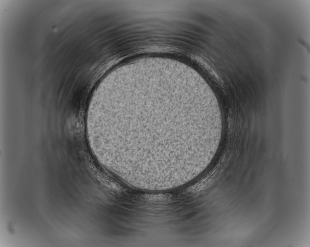 X0000097761025200804041121