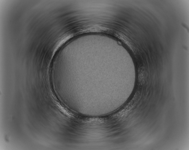 X0000097761026200804041121