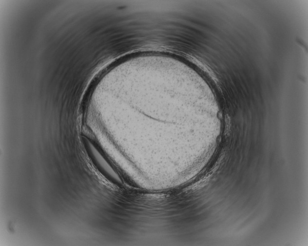 X0000097761029200804041121