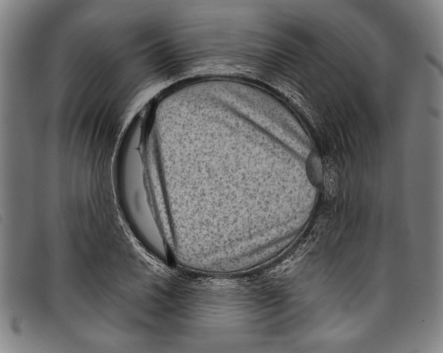 X0000097761030200804041121