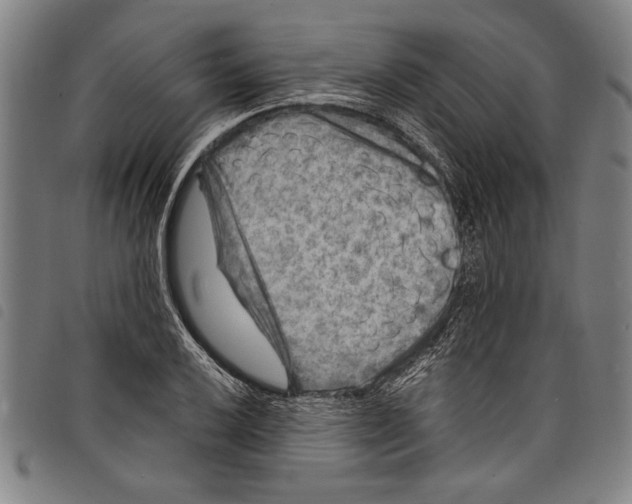 X0000097761032200804041121