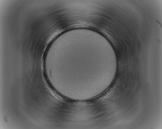 X0000097761034200804041121