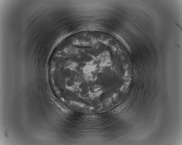 X0000097761035200804041121