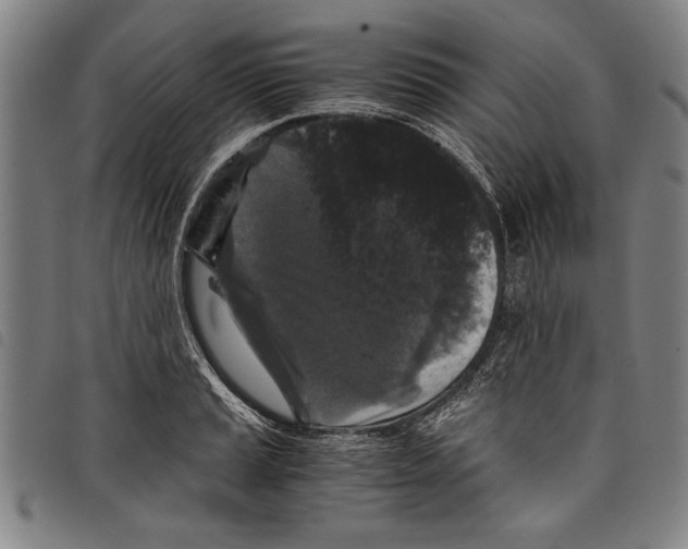 X0000097761037200804041121