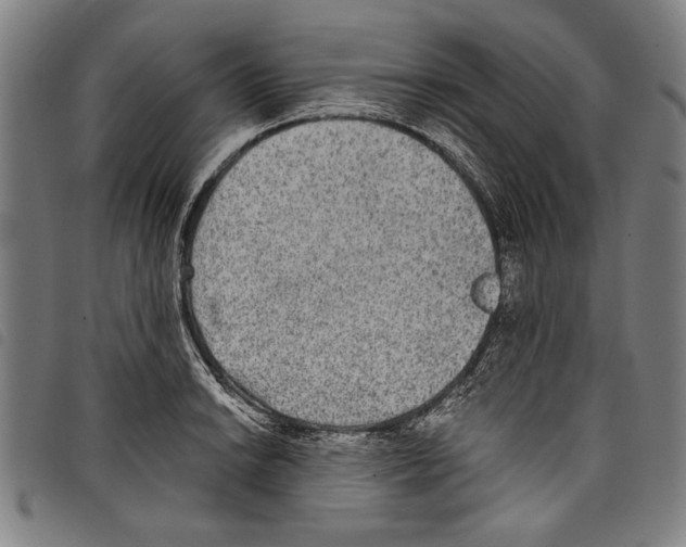 X0000097761038200804041121