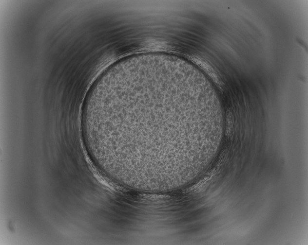 X0000097761039200804041121