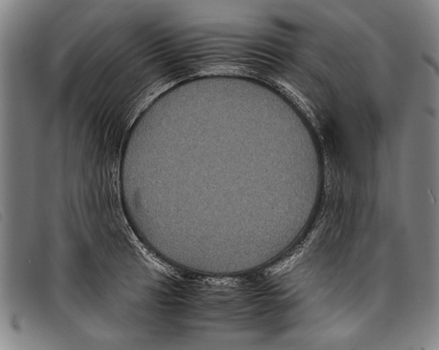 X0000097761041200804041121