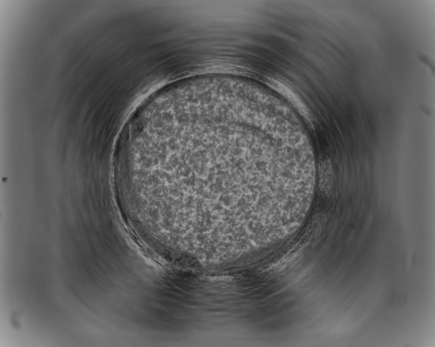 X0000097761043200804041121