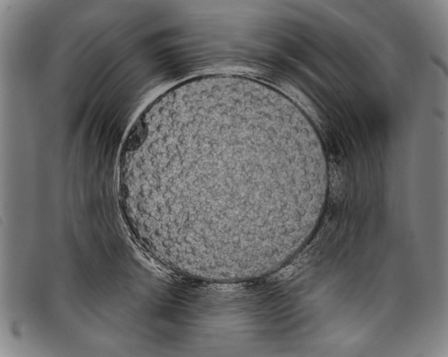 X0000097761044200804041121