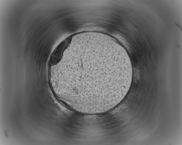 X0000097761046200804041121