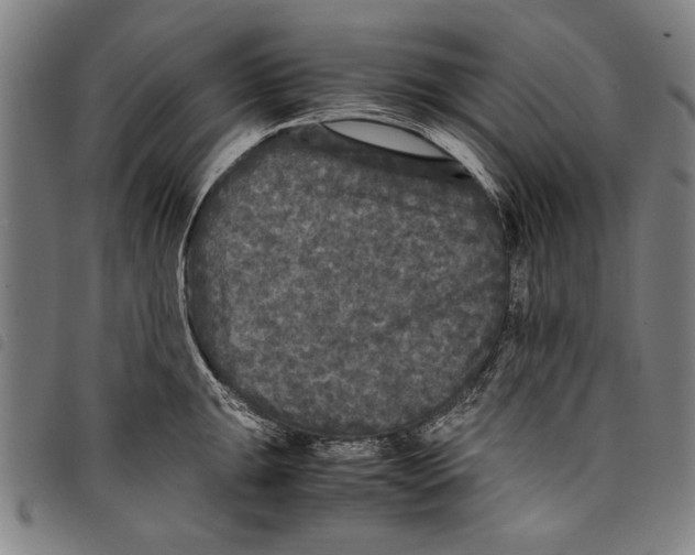 X0000097761047200804041121