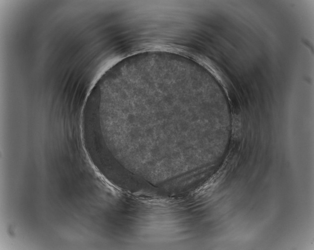 X0000097761048200804041121