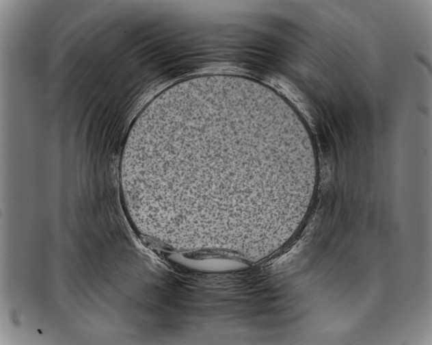 X0000097761049200804041121