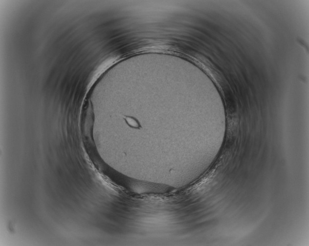 X0000097761050200804041121