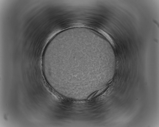 X0000097761051200804041121