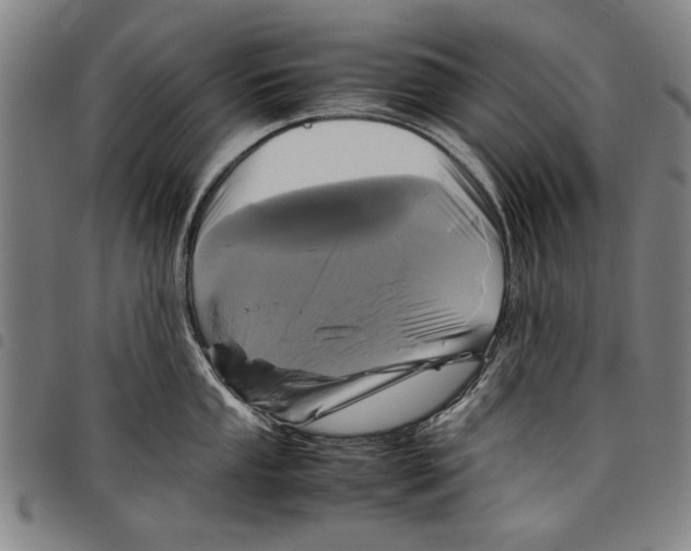 X0000097761053200804041121