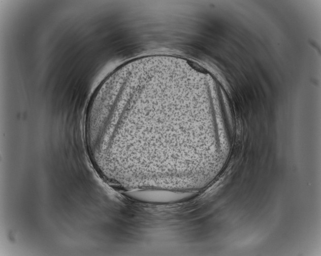 X0000097761054200804041121