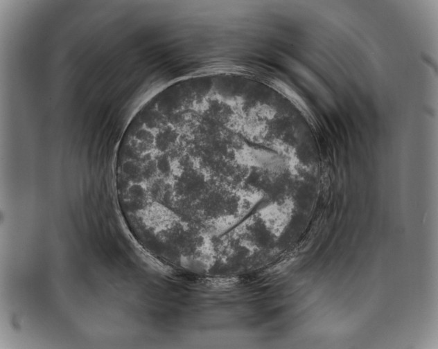 X0000097761055200804041121