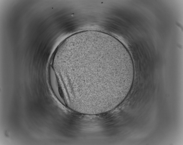 X0000097761056200804041121