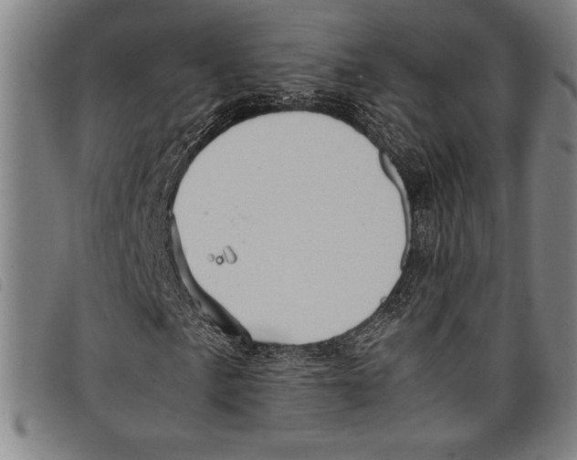 X0000097761057200804041121