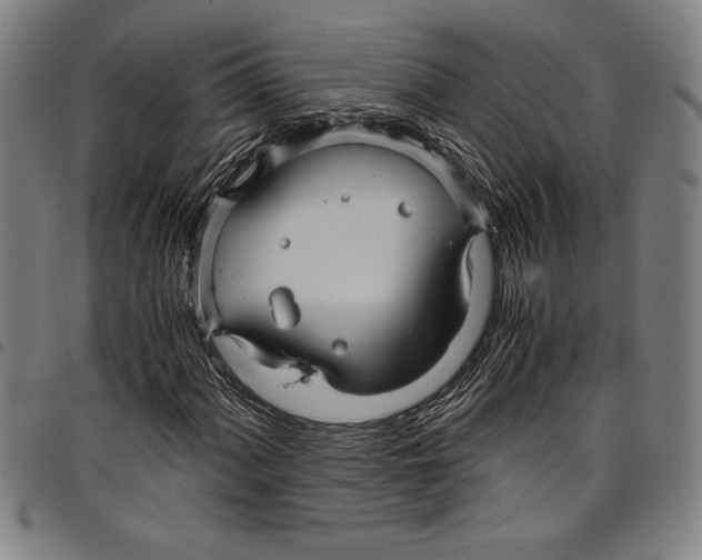 X0000097761060200804041121