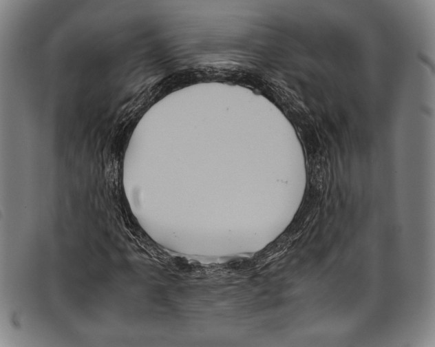 X0000097761061200804041121