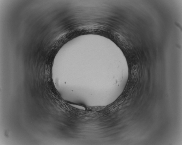 X0000097761062200804041121