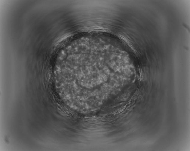 X0000097761063200804041121