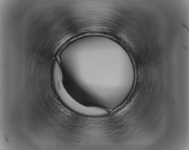 X0000097761065200804041120